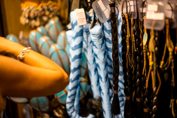 , Dateline Disney World: More Photos from The World of Avatar