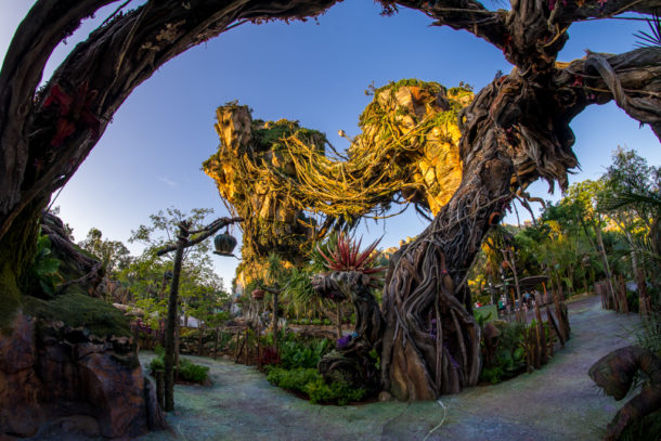 , Dateline Disney World: More Photos from The World of Avatar
