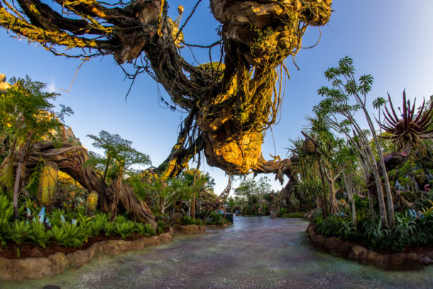 , Dateline Disney World: More Photos from The World of Avatar