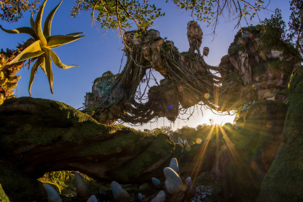 , Dateline Disney World: More Photos from The World of Avatar