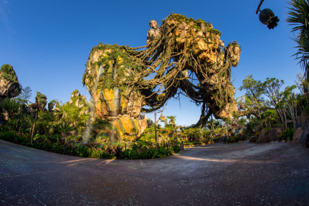 , Dateline Disney World: More Photos from The World of Avatar