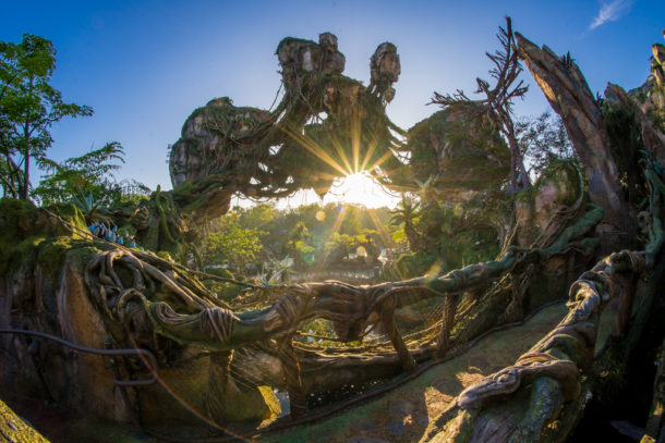 , Dateline Disney World: More Photos from The World of Avatar