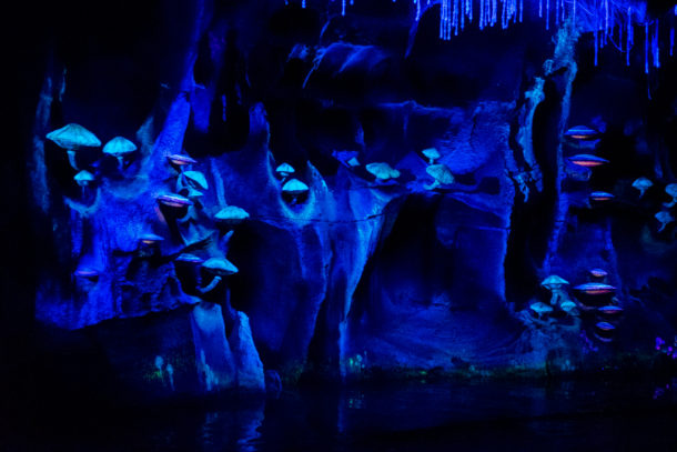 , Dateline Disney World: More Photos from The World of Avatar
