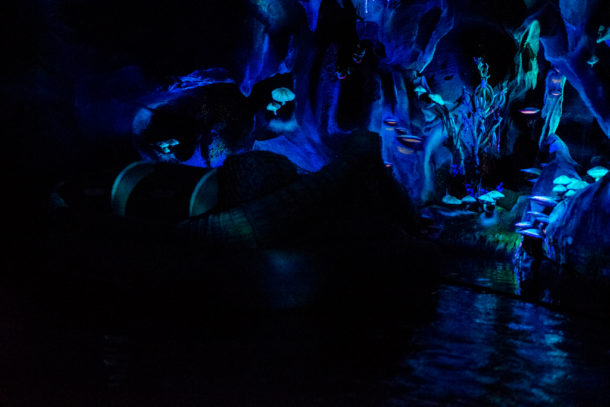 , Dateline Disney World: More Photos from The World of Avatar