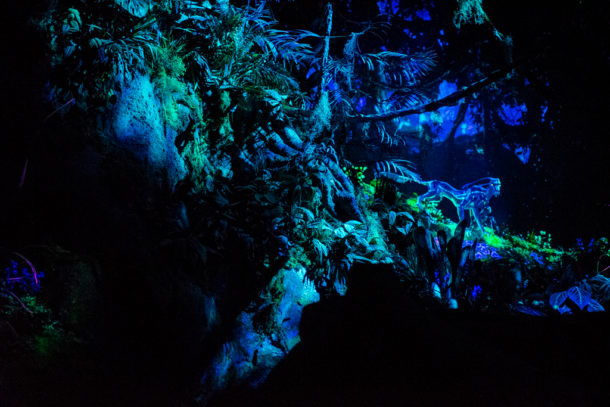 , Dateline Disney World: More Photos from The World of Avatar