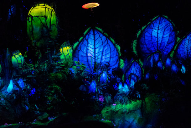 , Dateline Disney World: More Photos from The World of Avatar
