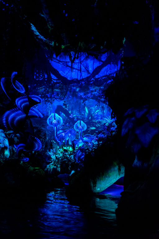 , Dateline Disney World: More Photos from The World of Avatar