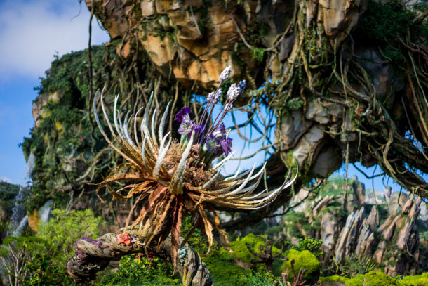 , Dateline Disney World: More Photos from The World of Avatar
