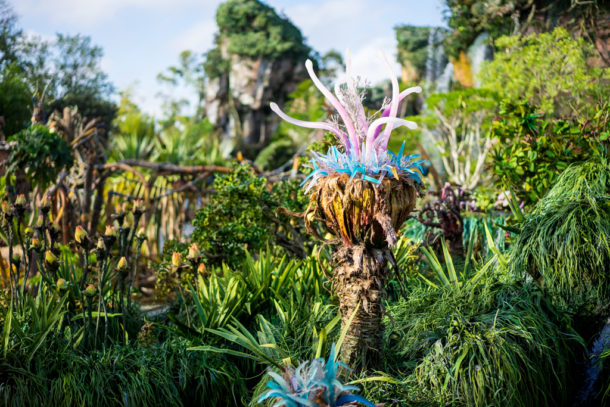 , Dateline Disney World: More Photos from The World of Avatar