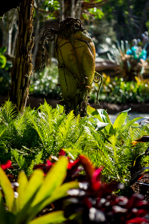 , Dateline Disney World: More Photos from The World of Avatar