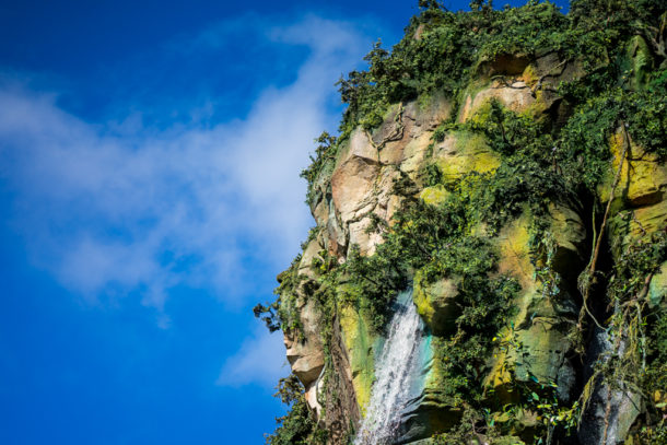 , Dateline Disney World: More Photos from The World of Avatar