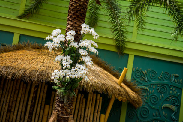 , Volcano Bay – New Water Theme Park Now Open at Universal Orlando Resort