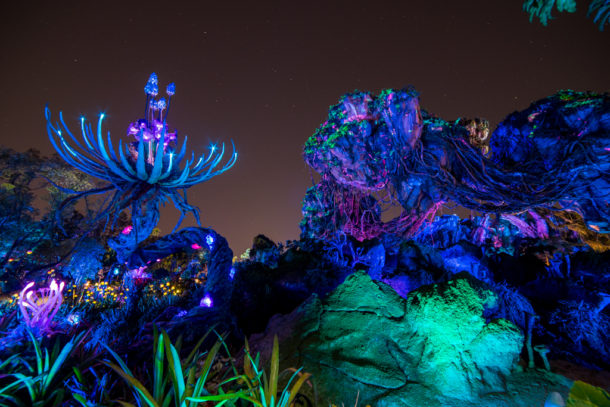 , Dateline Disney World – The Bioluminescence of Pandora at Night