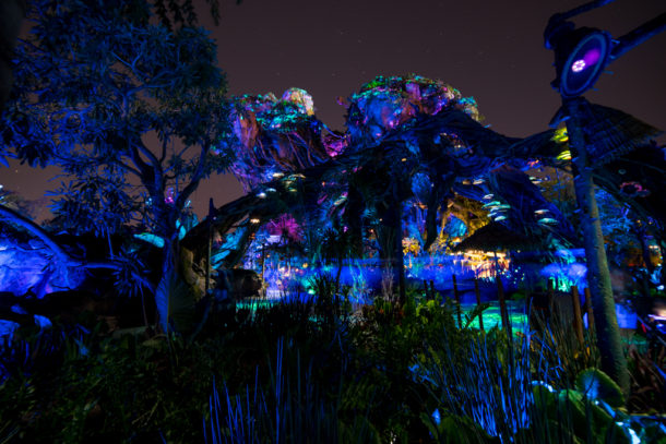 , Dateline Disney World – The Bioluminescence of Pandora at Night