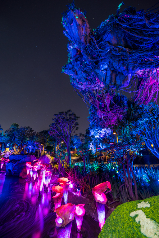 , Dateline Disney World &#8211; The Bioluminescence of Pandora at Night