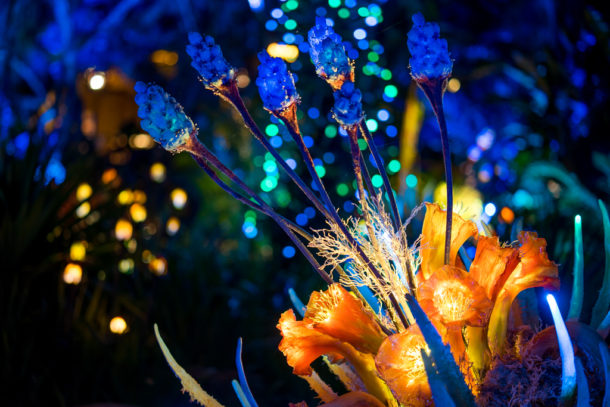 , Dateline Disney World – The Bioluminescence of Pandora at Night