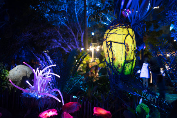 , Dateline Disney World – The Bioluminescence of Pandora at Night