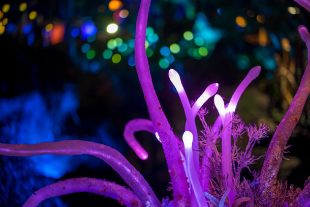 , Dateline Disney World – The Bioluminescence of Pandora at Night