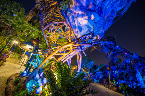, Dateline Disney World – The Bioluminescence of Pandora at Night