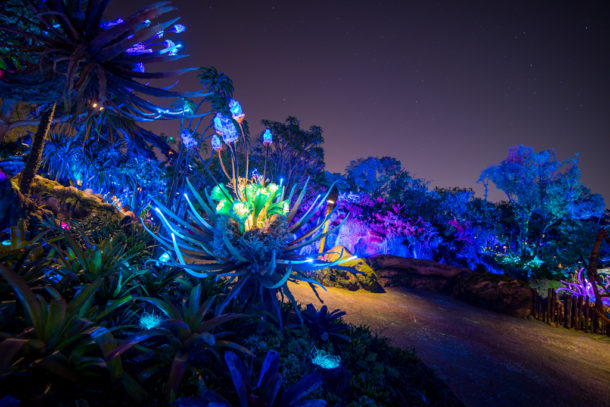 , Dateline Disney World – The Bioluminescence of Pandora at Night