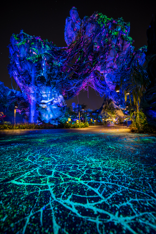 , Dateline Disney World – The Bioluminescence of Pandora at Night