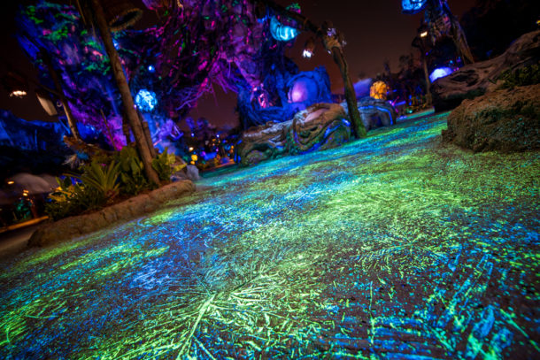 , Dateline Disney World – The Bioluminescence of Pandora at Night