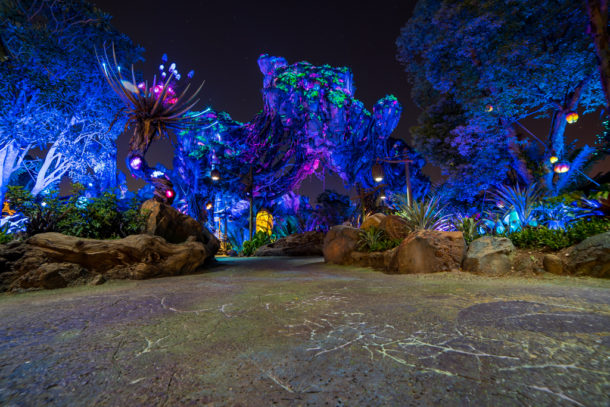 , Dateline Disney World &#8211; The Bioluminescence of Pandora at Night