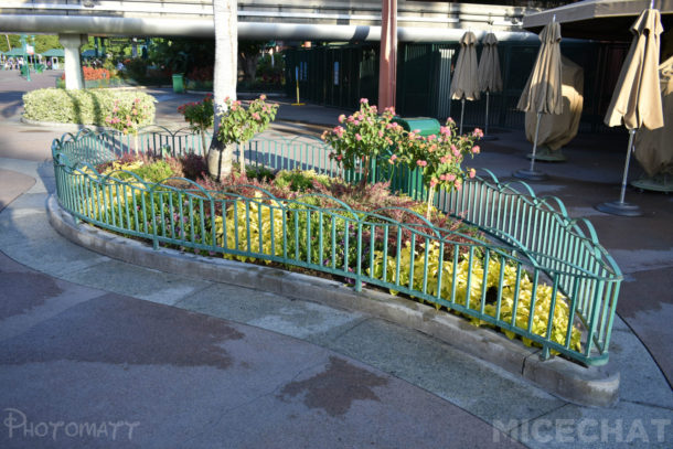 , Disneyland Photo Update &#8211; You Are Clear For Launch