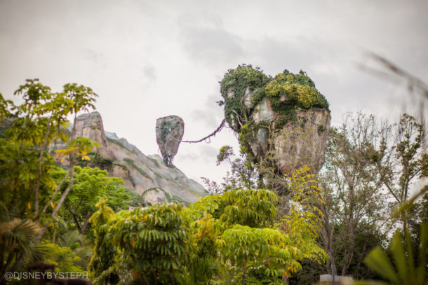 , Visiting Pandora: Avatar Comes to Life at Disney’s Animal Kingdom