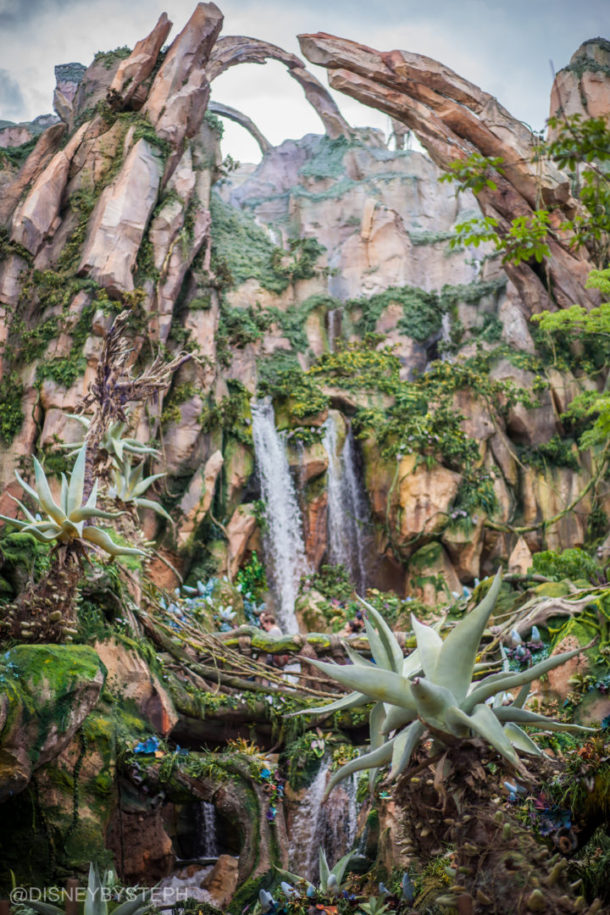 , Visiting Pandora: Avatar Comes to Life at Disney’s Animal Kingdom