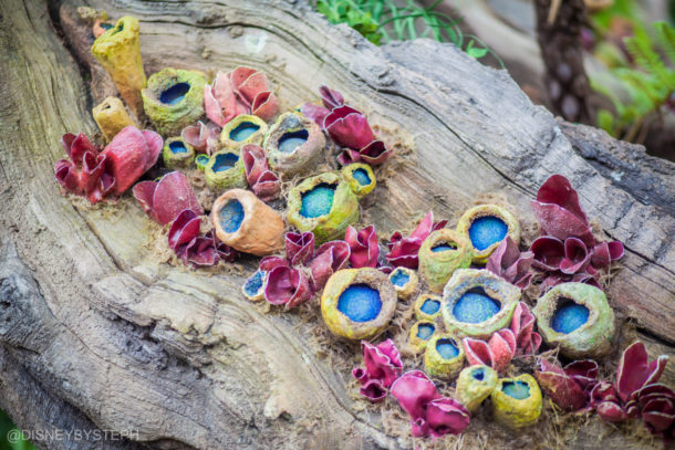 , Visiting Pandora: Avatar Comes to Life at Disney’s Animal Kingdom
