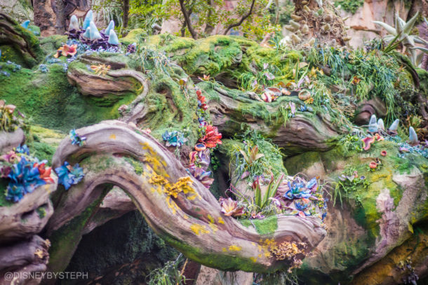 , Visiting Pandora: Avatar Comes to Life at Disney’s Animal Kingdom