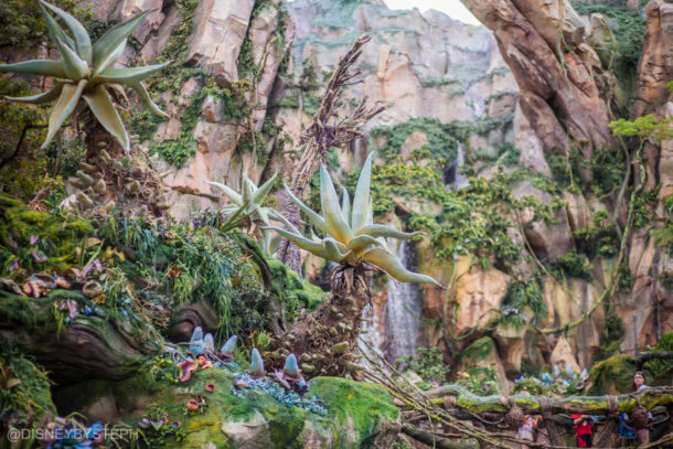 , Visiting Pandora: Avatar Comes to Life at Disney’s Animal Kingdom