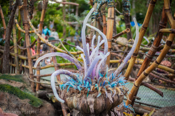 , Visiting Pandora: Avatar Comes to Life at Disney’s Animal Kingdom