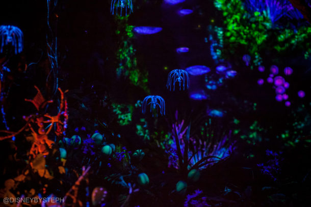, Visiting Pandora: Avatar Comes to Life at Disney’s Animal Kingdom