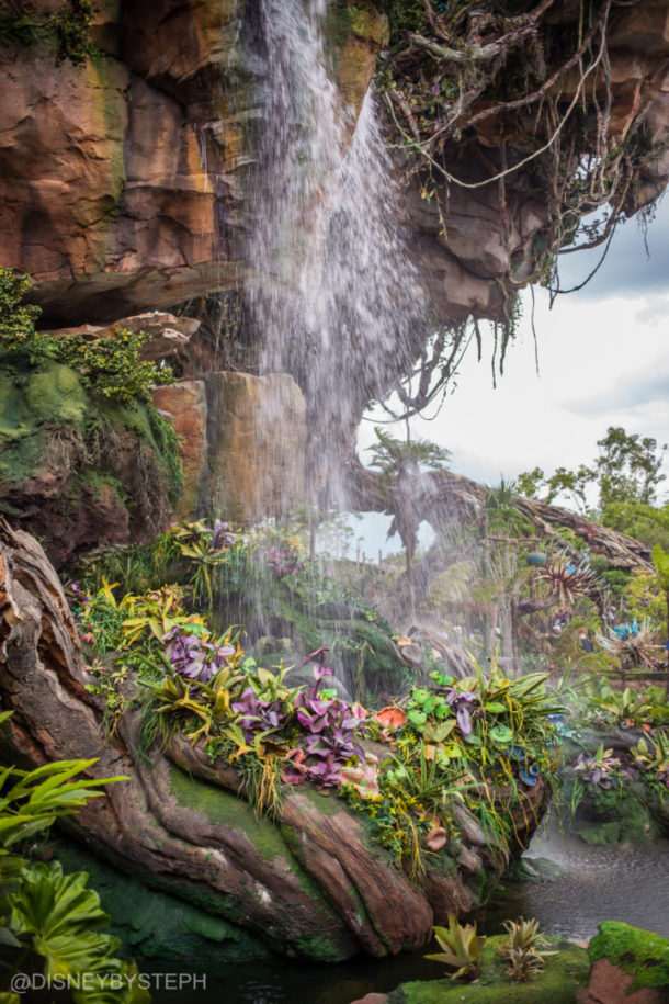 , Visiting Pandora: Avatar Comes to Life at Disney’s Animal Kingdom