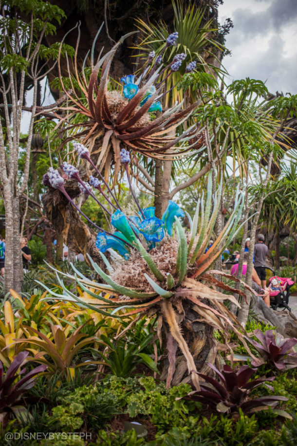 , Visiting Pandora: Avatar Comes to Life at Disney’s Animal Kingdom