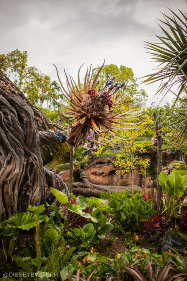, Visiting Pandora: Avatar Comes to Life at Disney’s Animal Kingdom
