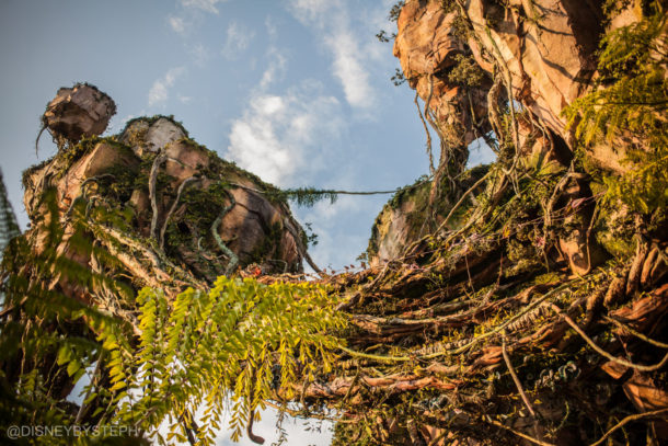 , Visiting Pandora: Avatar Comes to Life at Disney’s Animal Kingdom