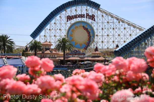 , DCA Photo Update – Dropping In and Dropping Out