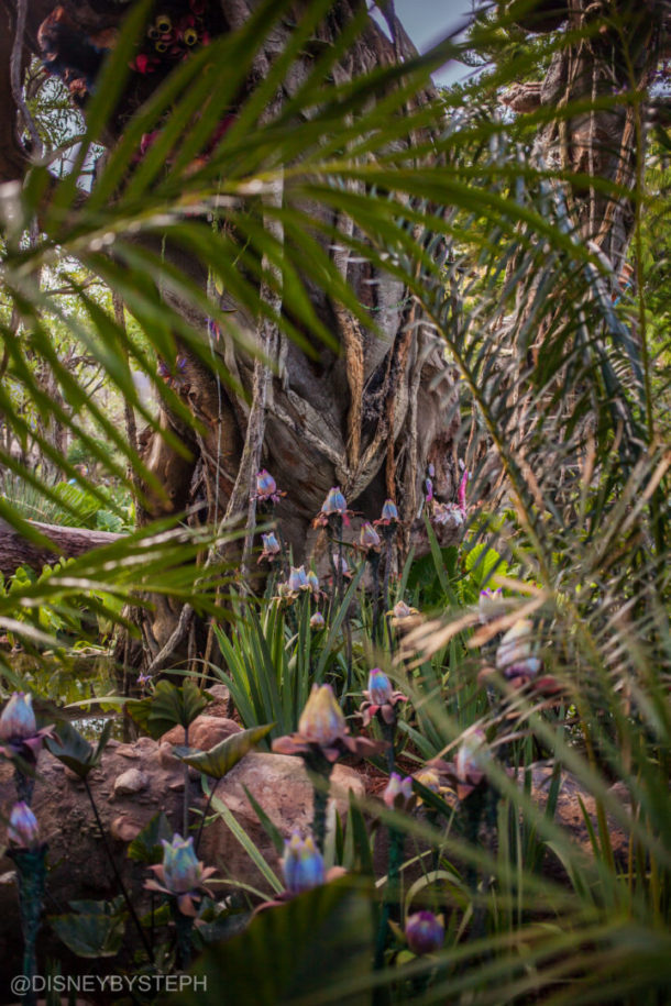 , Visiting Pandora: Avatar Comes to Life at Disney’s Animal Kingdom