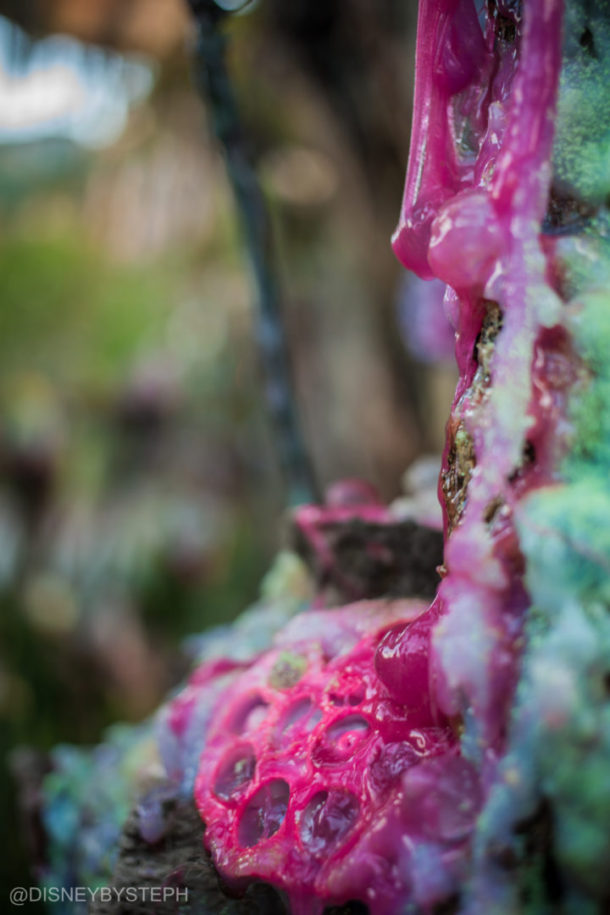 , Visiting Pandora: Avatar Comes to Life at Disney’s Animal Kingdom