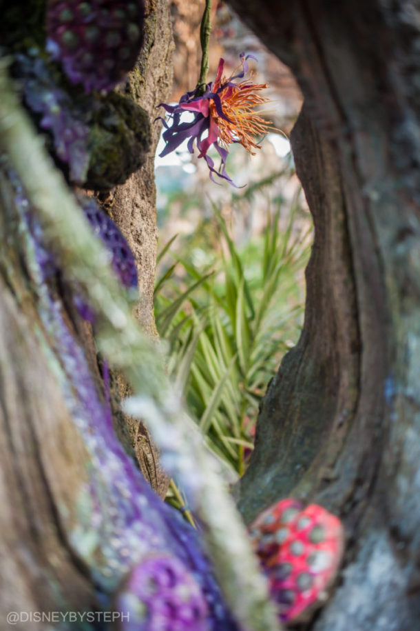 , Visiting Pandora: Avatar Comes to Life at Disney’s Animal Kingdom