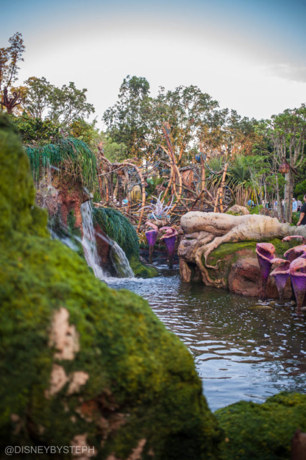 , Visiting Pandora: Avatar Comes to Life at Disney’s Animal Kingdom
