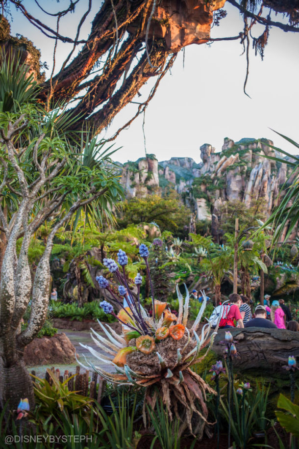 , Visiting Pandora: Avatar Comes to Life at Disney&#8217;s Animal Kingdom