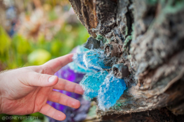 , Visiting Pandora: Avatar Comes to Life at Disney’s Animal Kingdom