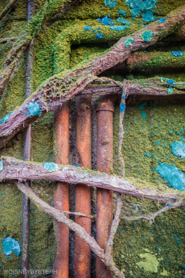 , Visiting Pandora: Avatar Comes to Life at Disney’s Animal Kingdom