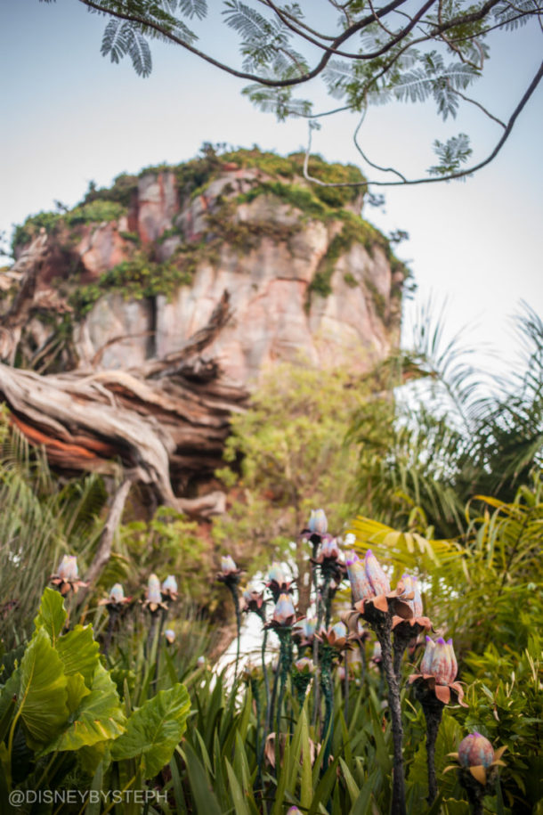 , Visiting Pandora: Avatar Comes to Life at Disney’s Animal Kingdom