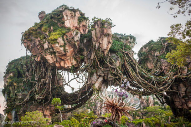 , Visiting Pandora: Avatar Comes to Life at Disney&#8217;s Animal Kingdom