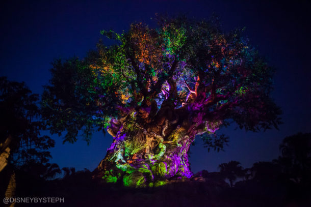 , Visiting Pandora: Avatar Comes to Life at Disney’s Animal Kingdom
